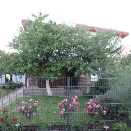 B&B Saulegraza * Palanga
